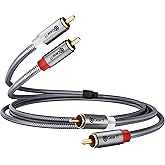 GEARit RCA Cable (3.3FT) 2RCA Male to 2RCA Male Stereo Audio Cables Shielded Braided RCA Stereo Cable for Home Theater, HDTV,