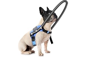 LetPetRun Blind Dog Harness, Guiding Halo with Protective Vest - Adjustable Support Harness to Calm & Guide Blind Pets, Confi