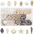 GraceAngie 1 Box 400pcs Small Tiny Sea Shells Mixed 0.7"-1.2" Beach Natural Seashell for DIY Jewelry Making, Home Decorations