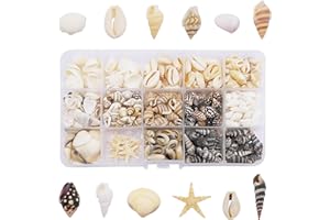 GraceAngie 1 Box 400pcs Small Tiny Sea Shells Mixed 0.7"-1.2" Beach Natural Seashell for DIY Jewelry Making, Home Decorations