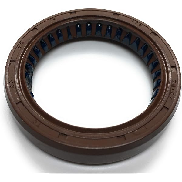 Amazon.com: PLENTZOM Triple Lip Seal 3235848 Compatible with 