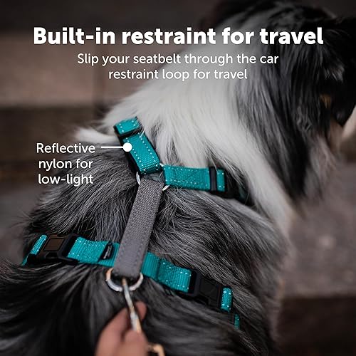 Pull Harness Petsafe In Harness Amazon PetSafe In Dog Harness No