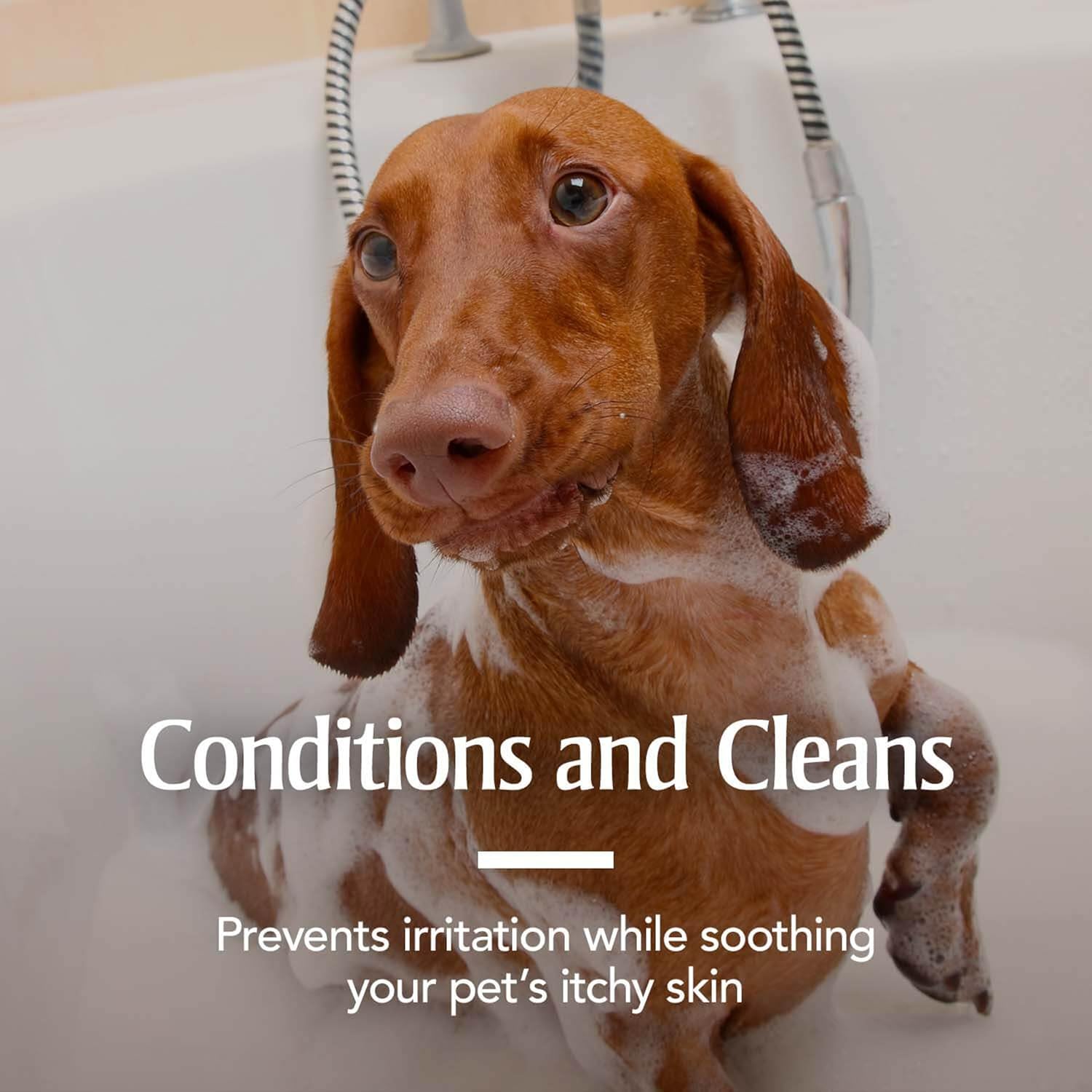 petarmor plus shampoo for dogs
