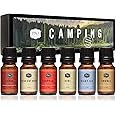 P&J Trading Fragrance Oil Camping Set | Campfire, Smores, Dirt, Fresh Cut Wood, Night Air, and Cedar Candle Scents for Candle Making, Freshie Scents, Soap Making Supplies, Diffuser Oil Scents