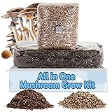 Surfin' Spores All-in-One Mushroom Grow Kit | 6 lb