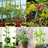 KINGLAKE 60cm Bamboo Plant Support Sticks 30Pcs with Twist Ties view 5