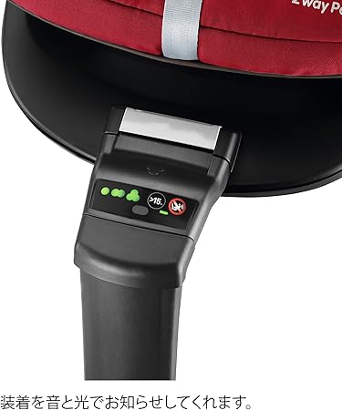 two way fix pebble plus