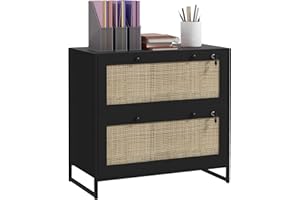 Vinsetto 2-Drawer Filing Cabinet with Lock, Rattan File Cabinet with Adjustable Hanging Bar for Letters, A4 and Legal Size Pa