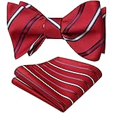 HISDERN Bow Ties for Men Striped Bowties Men's Self Tie Bowtie Handkerchief Formal Tuxedo Wedding Bowties and Pocket Square