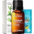 Gya Labs Ravensara Essential Oil for Diffuser - 0.34 Fl Oz - 100% Pure Natural Ravensara Oil for Skin, Hair, Aromatherapy & Candles Making - Sweet Spicy & Purifying Scent