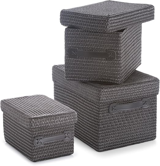 Zeller - Conjunto de Cajas de almacenaje con Tapa (3 Unidades): Amazon.es: Hogar