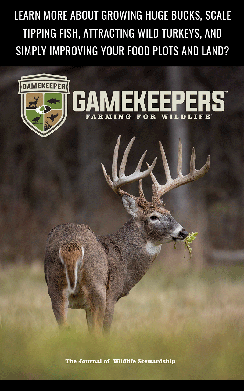 GameKeepers for Android