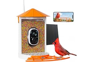 Birdkiss Smart Bird Feeder with Camera Solar, Auto Capture Bird Videos & Motion Detection, Bird Watching Camera Notify in Time, Metal Bird Feeder with Seed Guard, Ideal Present for Bird Lover (Orange)