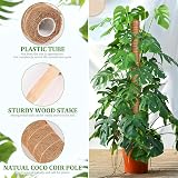 YAUNGEL Moss Pole 4 Pcs 41CM Coir Totem Plant Support with 20M Ties view 3
