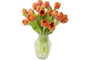 KaBloom PRIME NEXT DAY DELIVERY - Fall Collection - Bouquet of 20 Orange Tulips Farm-Fresh From Holland, Vase. Gift for Birthday, Sympathy, Anniversary, Get Well, Thank You, Valentine, Mother’s Day