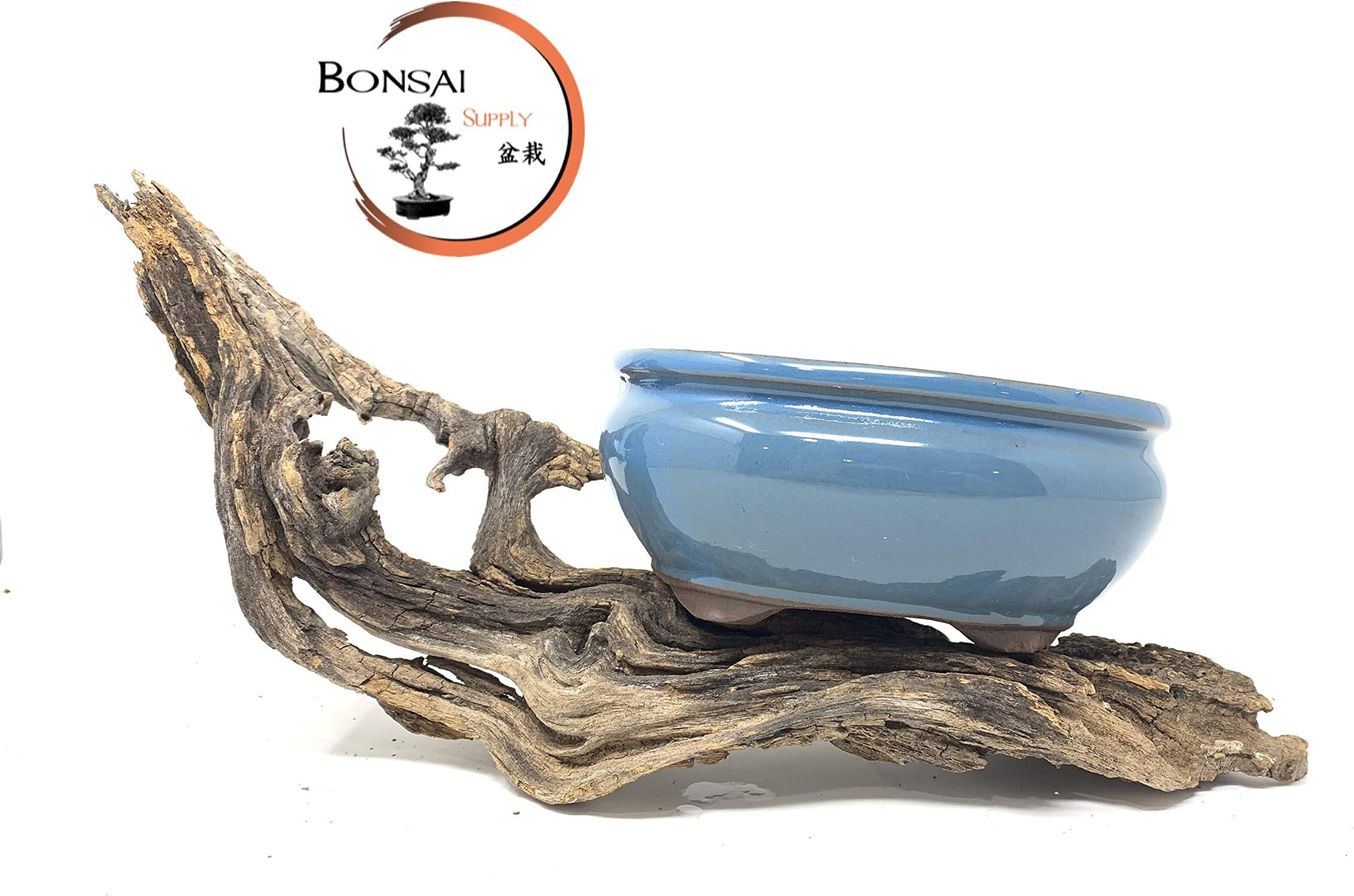 Bonsai Tree Pot Glazed 8" (True Blue)