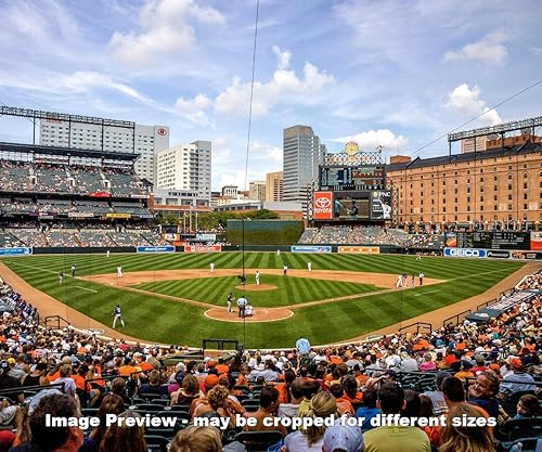 camden minor league baseball