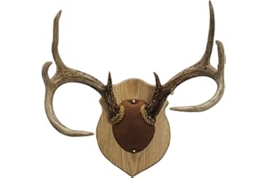 Walnut Hollow Country Antler Mount & Display Kit, Oak , Brown