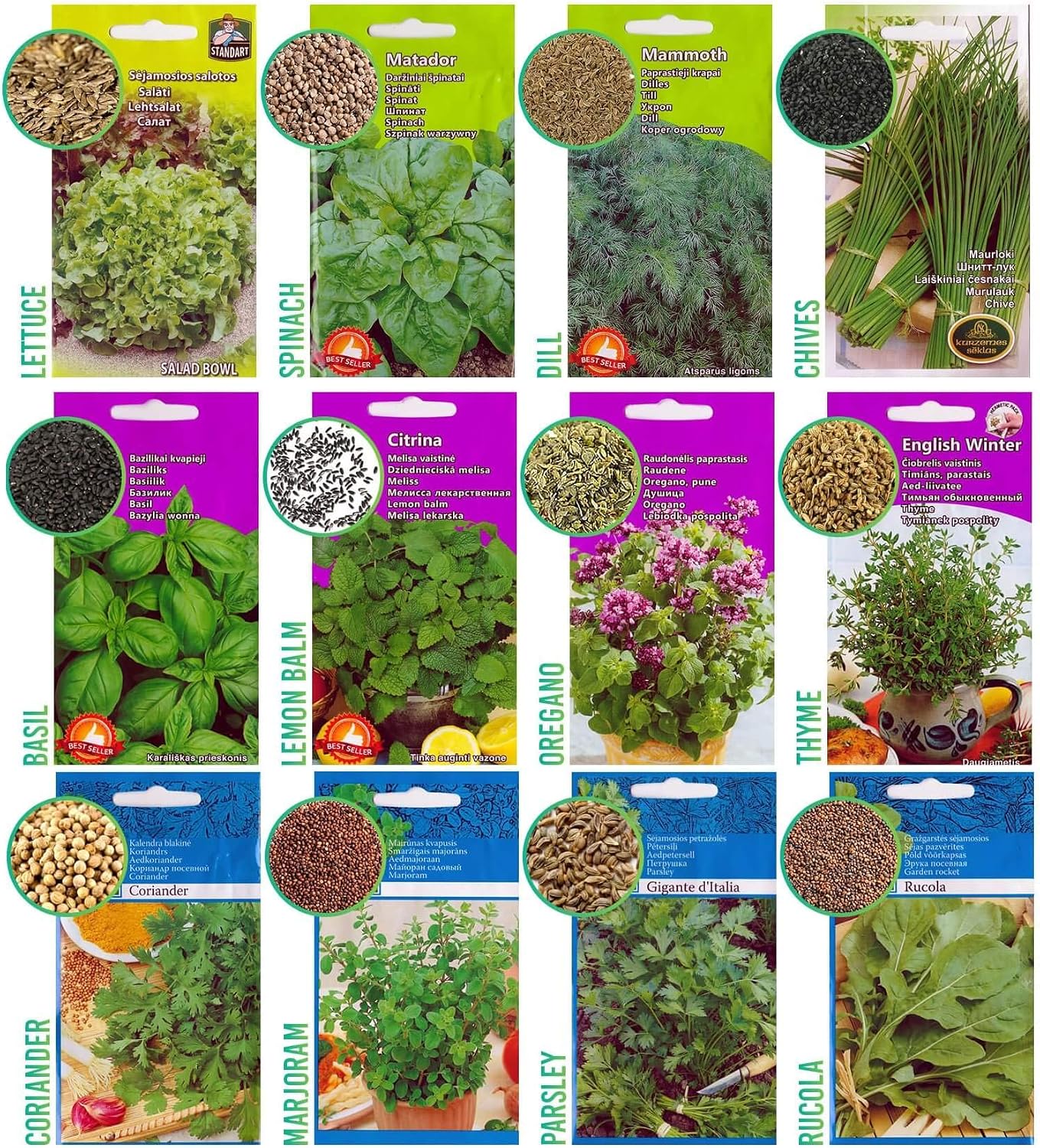Herbal Age Grow Your Own Herb Garden Kit, 12 Herbs Plants, 8700 Herb Seed Box for Planting UK Salad Leaves, Basil Seeds, Mint - Image 3