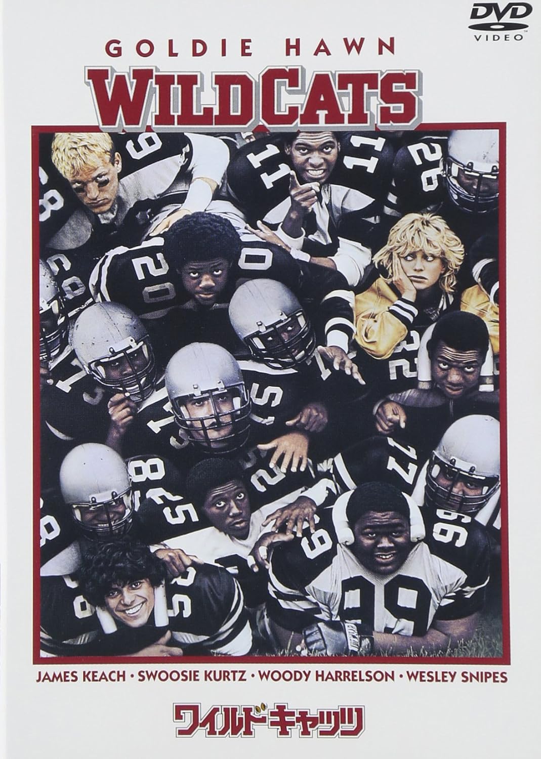Amazon ワイルドキャッツ Dvd 映画