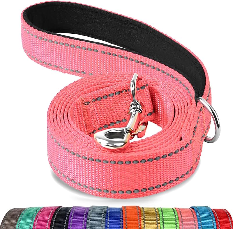Joytale Padded Handle Dog Lead Double-Sided Reflective Nylon 1.2m Neon Pink