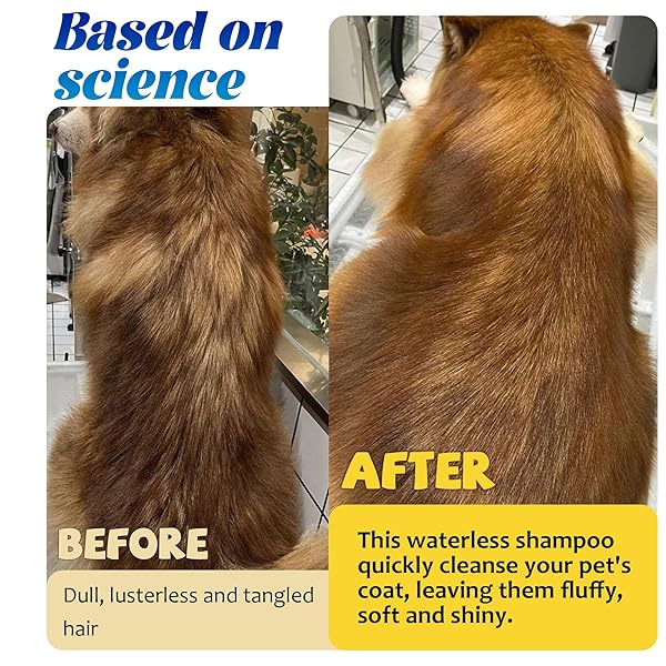 PETSTORAL WATERLESS DOG SHAMPOO NO RINSE PUPPY DRY HYPOALLERGENIC SHAMPOO AND CONDITIONER – SOOTHING AND DEODORIZING QUICKLY CLEANS SMELLY DOGS AND CATS (3.38 FL OZ/100ML)