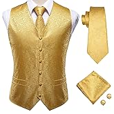 Hi-Tie 5PCS Mens Silk Suit Vests and Tie Lapel Pin Set Paisley Floral Waistcoat Necktie God Tie Clip Set Wedding Party