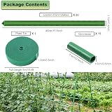 4BAOHUI Green Garden Plant Stakes 20Pcs Plastic Coated Steel 11mm x 40cm view 2