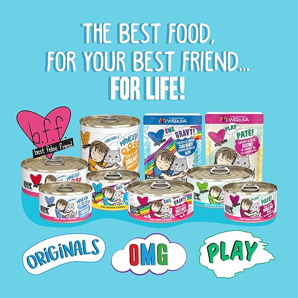 WERUVA B.F.F. OMG – BEST FELINE FRIEND OH MY GRAVY!, DATE NITE! WITH DUCK & SALMON IN GRAVY CAT FOOD, 2.8OZ POUCH (PACK OF 12)