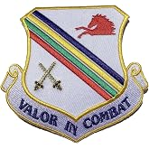 Valor in Combat 354th Fighter Wing Patch &ndash; Plastic Backing