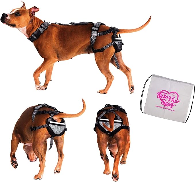 Chastity Belt for Dogs Pet AntiBreeding System (PABS), Humane Birth