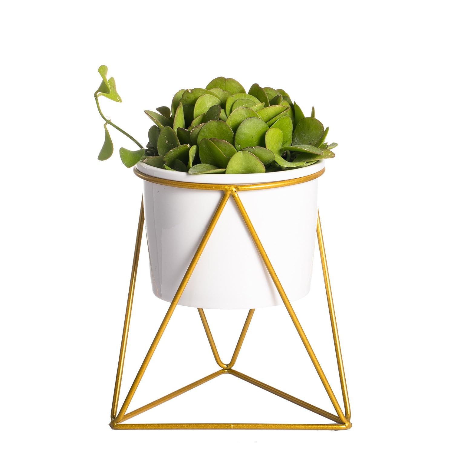 NCYP Geometric Iron Rack Holder Metal Stand Gold with White Ceramic Planter Indoor Desktop Garden Pot for Succulents Herbs Cactus Plants Modern Style Window Sill Decorative Bonsai