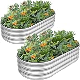G GOOD GAIN 2Pcs Raised Garden Beds Galvanized, Planter Boxes Kit, Oliver | 4x2x1ft, Rust-Resistant, Bottomless, Safety Edging, Rod, Gloves,Tools, Oval, for Outdoor Flowers,Vegetables, Fruits,Herbs