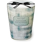 HomeLights Soy Wax Candles for Home Scented, 1-Wick Candles in Lavender Eucalyptus Scented, Aromatherapy Candles Gift for Parties, Relaxing, Scandinavian Minimalist Design, 6.7oz