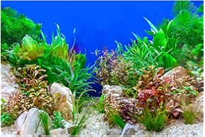 RIIVVDISE Aquarium Background Green Aquatic Plant Stone River Bed and Lake Fish Tank Background Decor Underwater Grass Leaves with Pebble Aquarium Backdrop Perfect Fish Tank Decors Vinyl 24x16in