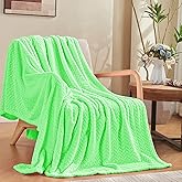 inhand Mint Green Fleece Throw Blanket for Couch, Super Soft Flannel Blanket, Lightweight Fuzzy Blankets Sofa Bed Office, Washable Cozy Plush Fleece Blankets&Throw for All Season(50x60 Inches)