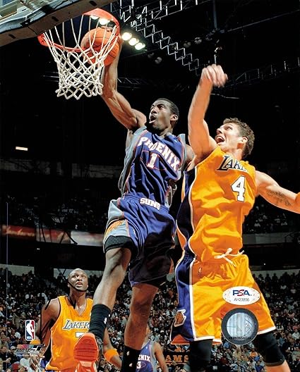 amare stoudemire suns