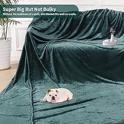 Aemilas Large Fleece Blanket Oversized King