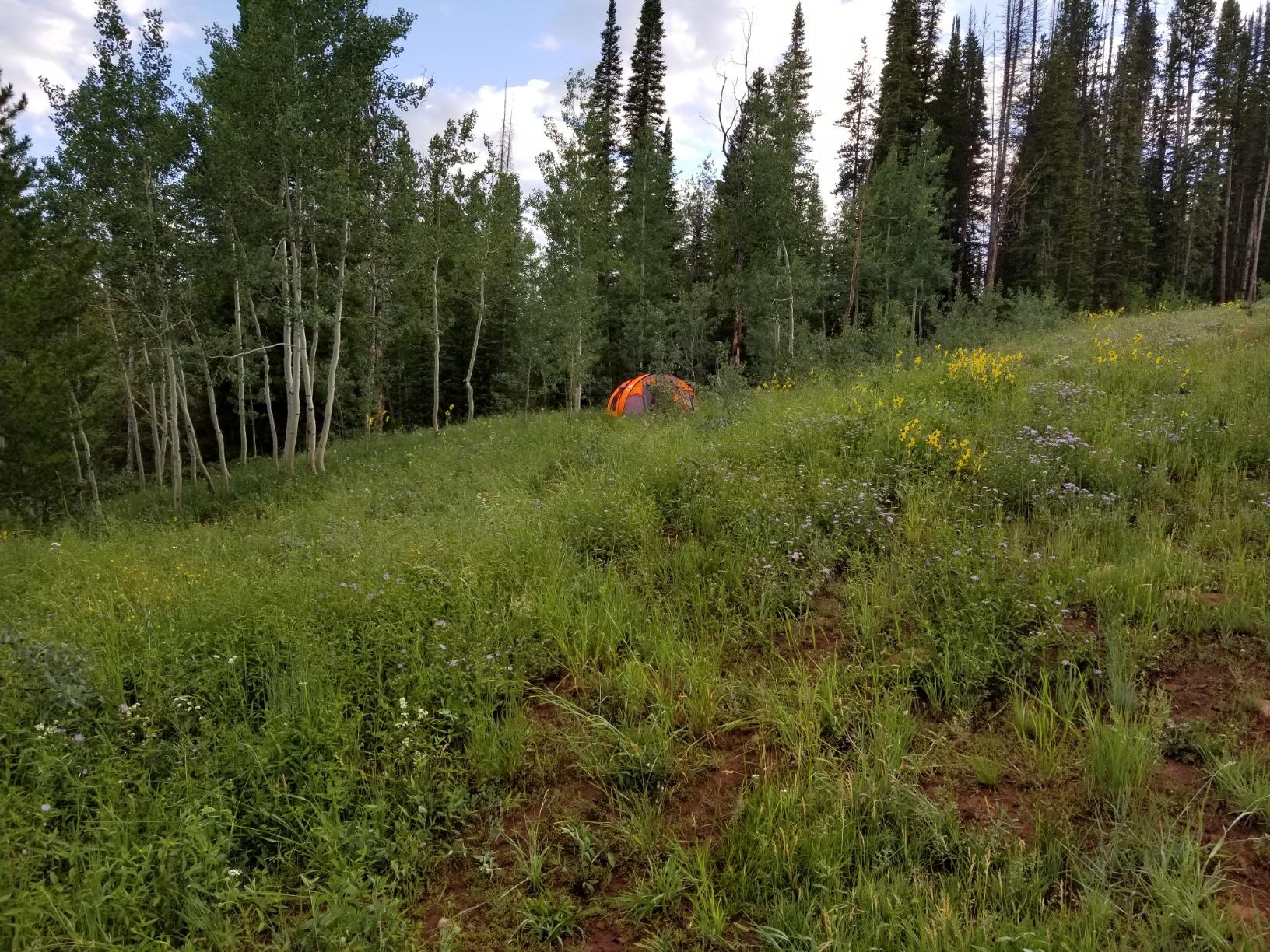 20/mo Finance OILEUS Pop Up Dome Tent Instant Camping Tent 56