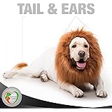 BELOVED PETS Original Lion Mane for Dog 100% Funny - Realistic Costume for Dog With Ears and Tail - Gift Dog Clothes, Party Dress for Medium and Large Dogs