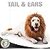 BELOVED PETS Original Lion Mane for Dog 100% Funny - Realistic Costume for Dog With Ears and Tail - Gift Dog Clothes, Party Dress for Medium and Large Dogs