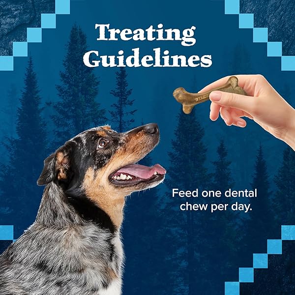 BLUE BUFFALO WILDERNESS WILD BONES GRAIN-FREE DENTAL CHEWS DOG TREATS, MINI, 10-OZ BAG