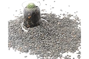 CJGQ Decorative River Rocks Pebbles for Succulents, Cacti & Gardens, Aquarium Gravel, Fish Tank Rocks, 2.4 lb
