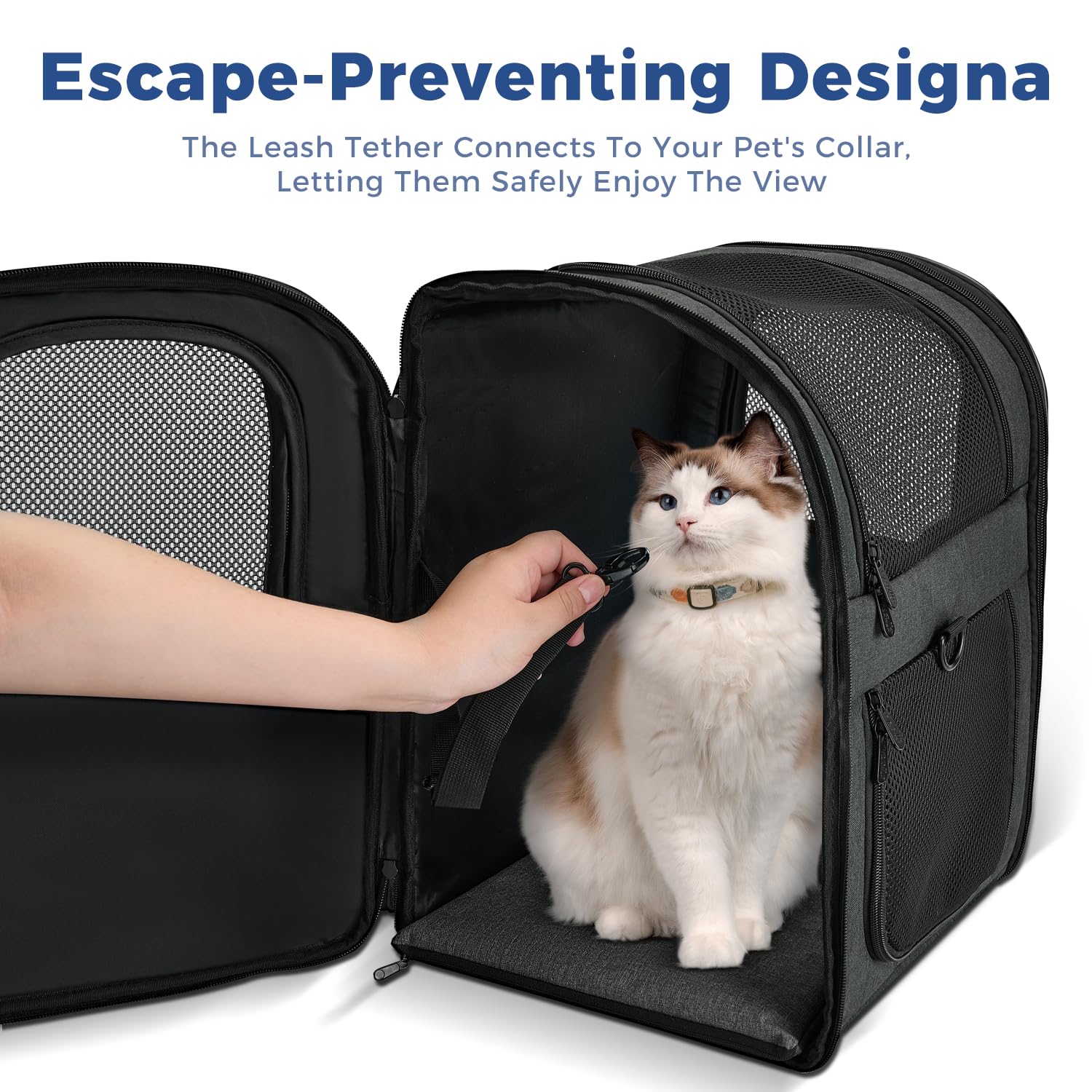 Apollo Walker Dog & Cat Carrier Backpack for 4-15lb Pets - Ventilated Safe Design with Padded Back Support, Breathable Mesh Pet Backpack for Hiking, Travel, Outdoor (Black)