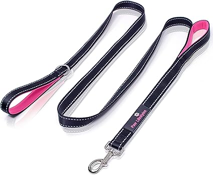 2 handle dog leash Clearance