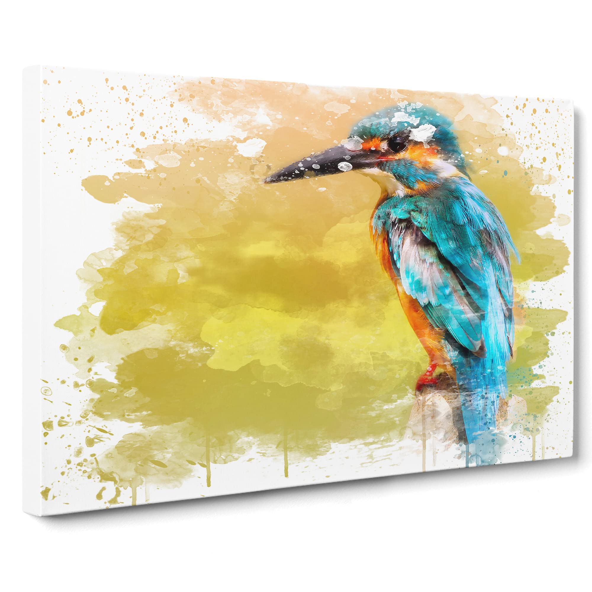 Striking Kingfisher Bird V3 Canvas Print | Gallery Wrapped 30mm Frame Wall Art | 20x14 inches | Ready to Hang | Modern Animals Picture | Living Room Bedroom Lounge Office