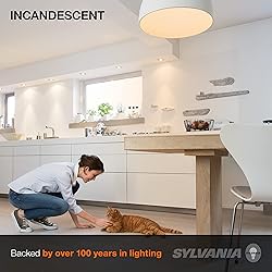 SYLVANIA Incandescent Light Bulb, 25W