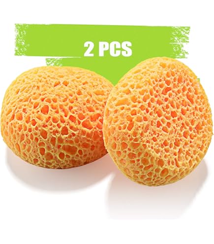 Esponjas Marinhas Para Artistas: Ferramentas De Pintura Para | Parcelamento Sem Juros