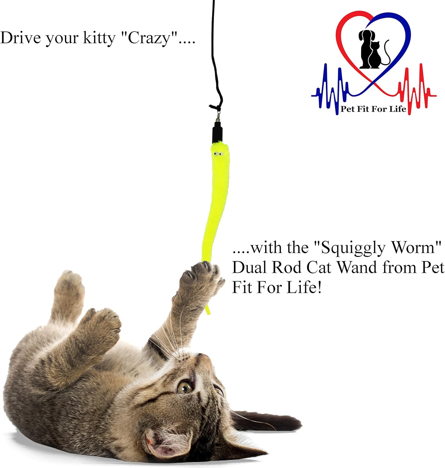 Pet Fit For Life 5 Piece Worms Teaser and Exerciser for Cat and Kitten - Cat Toy Interactive Cat Wand : Pet Supplies