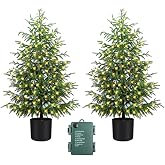 4FT Norfolk Pine Christmas Trees with 80LED Lights, 2-Pack | Realistic Artificial Tree, Battery Operated, Soft PE Tips, Great for Front Porch, Entryway, Staircase